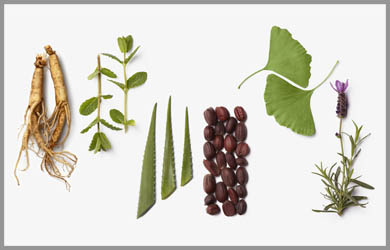 La-Biosthetique-Botanique-1-catalonia-a