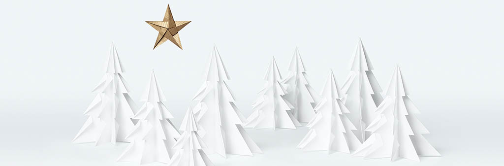 La-Biosthetique-Weihnachtszeit-erleben-1-centum