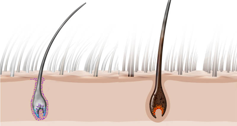 Friseur-Schwandorf-La-Biosthetique-Neues-Jahr-Neue-Pflege-03